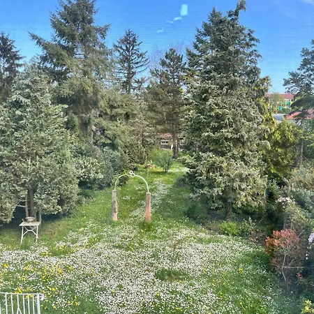 Magnolienhof Albsheim Apartment